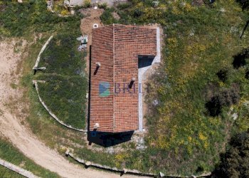 Azienda agricola SP38, Sant'Antonio di Gallura - foto 20