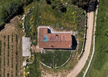 Azienda agricola SP38, Sant'Antonio di Gallura - foto 40