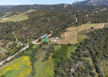 Azienda agricola SP38, Sant'Antonio di Gallura - foto 21