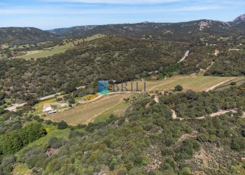 Azienda agricola SP38, Sant'Antonio di Gallura - foto 22