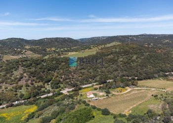 Azienda agricola SP38, Sant'Antonio di Gallura - foto 24