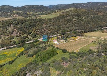 Azienda agricola SP38, Sant'Antonio di Gallura - foto 25