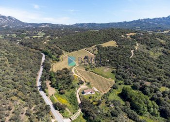 Azienda agricola SP38, Sant'Antonio di Gallura - foto 26