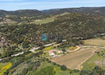 Azienda agricola SP38, Sant'Antonio di Gallura - foto 27