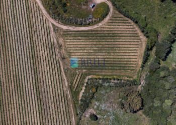 Azienda agricola SP38, Sant'Antonio di Gallura - foto 29