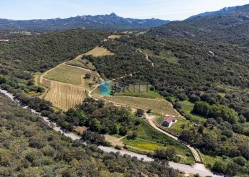 Azienda agricola SP38, Sant'Antonio di Gallura - foto 31