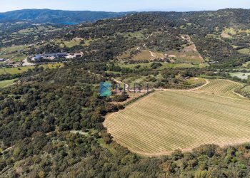Azienda agricola SP38, Sant'Antonio di Gallura - foto 35