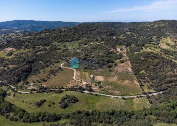 Azienda agricola SP38, Sant'Antonio di Gallura - foto 36