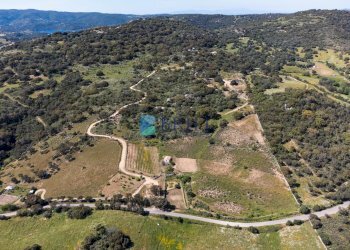 Azienda agricola SP38, Sant'Antonio di Gallura - foto 37