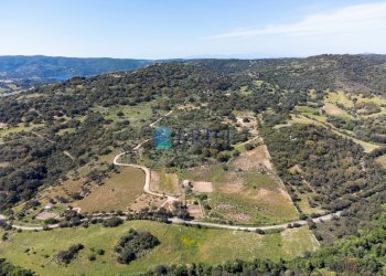 Azienda agricola SP38, Sant'Antonio di Gallura - foto 38