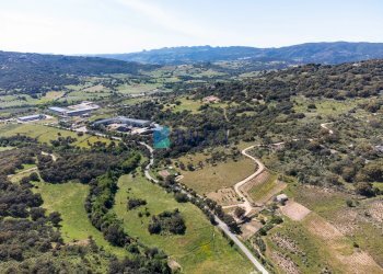Azienda agricola SP38, Sant'Antonio di Gallura - foto 39