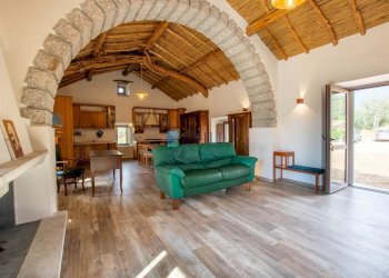 Azienda agricola SP38, Sant'Antonio di Gallura - foto 50