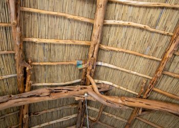 Azienda agricola SP38, Sant'Antonio di Gallura - foto 51