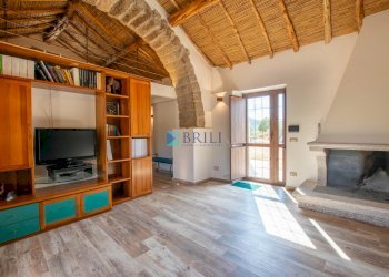 Azienda agricola SP38, Sant'Antonio di Gallura - foto 54