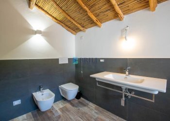 Azienda agricola SP38, Sant'Antonio di Gallura - foto 62