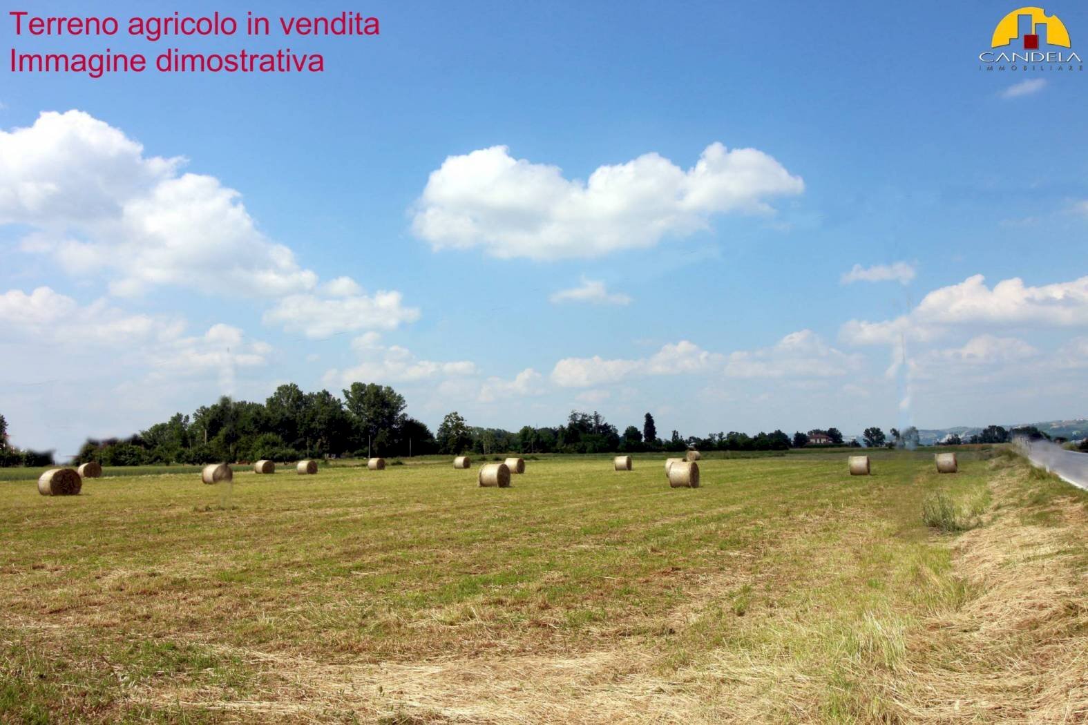 Terreno agricolo Mondovì - foto 1