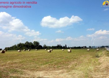Terreno agricolo Mondovì - foto 1