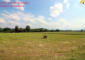 Terreno agricolo Mondovì - foto 2