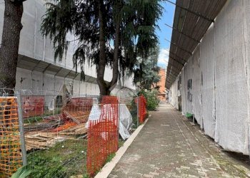 Bilocale Piazzale selinunte, Milano (zona San Siro) - foto 19