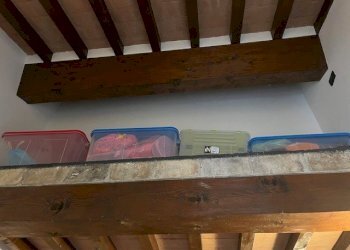 Apartment Parma - photo 9