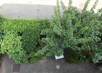 Apartment Modena - photo 18