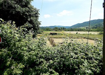 Foto 10 - Casa indipendente località catalana, Cartosio - foto 10