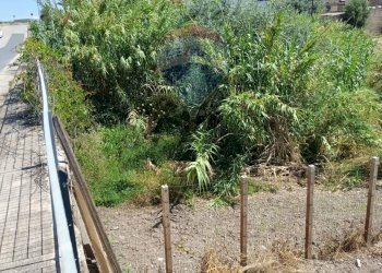 Giardino - Terreno edificabile via Gandhi
 
sn, Mazzarrone - foto 16