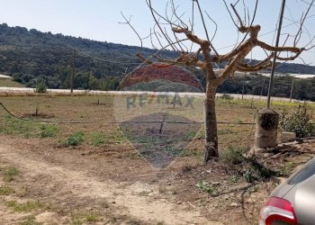 Vista delle montagne - Villa C/DA SCALAZZA SANTO PIETRO
 
SNC, Caltagirone - foto 7