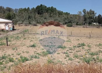 Giardino - Villa C/DA SCALAZZA SANTO PIETRO
 
SNC, Caltagirone - foto 8