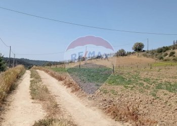 Vista delle montagne - Villa C/DA SCALAZZA SANTO PIETRO
 
SNC, Caltagirone - foto 9