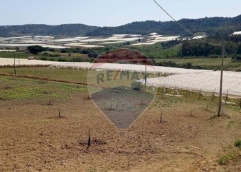 Vista delle montagne - Villa C/DA SCALAZZA SANTO PIETRO
 
SNC, Caltagirone - foto 13