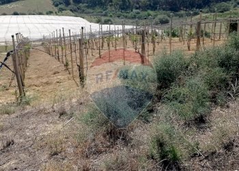 Vista delle montagne - Villa C/DA SCALAZZA SANTO PIETRO
 
SNC, Caltagirone - foto 18