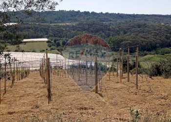 Vista delle montagne - Villa C/DA SCALAZZA SANTO PIETRO
 
SNC, Caltagirone - foto 20