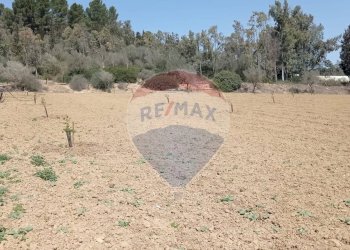 Vista delle montagne - Villa C/DA SCALAZZA SANTO PIETRO
 
SNC, Caltagirone - foto 23