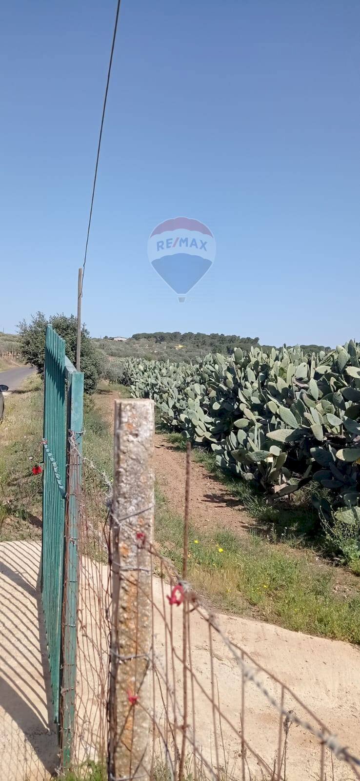 Vista delle montagne - Agricultural land C.da Bongiovanni
 
SN, Caltagirone - photo 3
