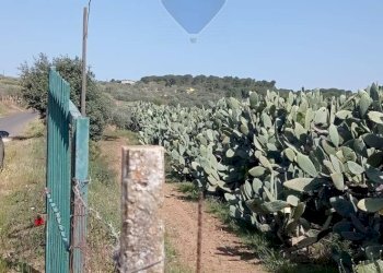 Vista delle montagne - Terreno agricolo C.da Bongiovanni
 
SN, Caltagirone - foto 3