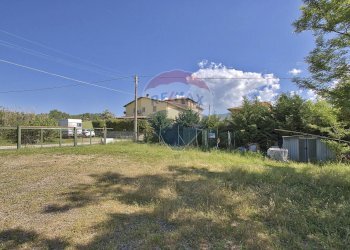 Giardino - Casa semi indipendente Terranuova Bracciolini - foto 7