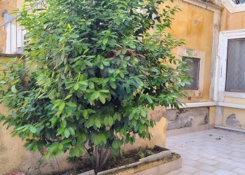 Terrazza - Casa semi indipendente Via Arimondi
 
10, Lentini - foto 8