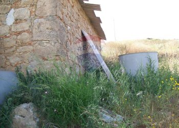 Giardino - Rustico Contrada Gatta
 
s.n., Piazza Armerina - foto 1