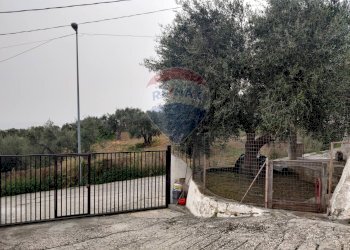 Non correlato - Villa Macchia (Monte Sant'Angelo) - Via del Comitato
 
19, Monte Sant'Angelo - foto 4