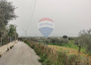 Edificio all\'aperto - Villa Macchia (Monte Sant'Angelo) - Via del Comitato
 
19, Monte Sant'Angelo - foto 6