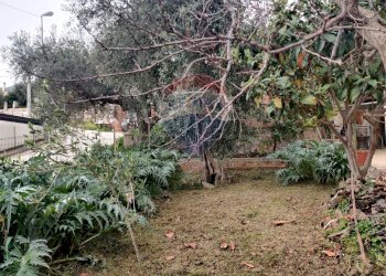 Giardino - Villa Macchia (Monte Sant'Angelo) - Via del Comitato
 
19, Monte Sant'Angelo - foto 77