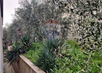 Giardino - Villa Macchia (Monte Sant'Angelo) - Via del Comitato
 
19, Monte Sant'Angelo - foto 79