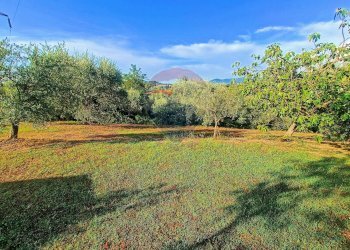 Giardino - Villa Castellina Marittima - foto 25