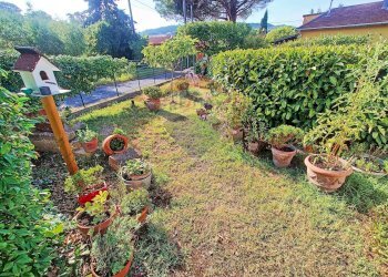 Giardino - Villa Castellina Marittima - foto 5