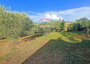 Giardino - Villa Castellina Marittima - foto 24