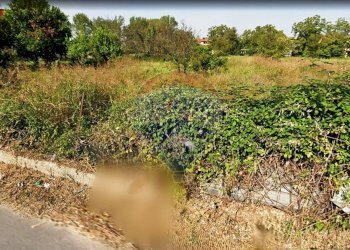 Giardino - Terreno edificabile via Fornari, Pomigliano d'Arco - foto 4