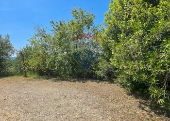 Giardino - Casa semi indipendente Via Valle Monte
 
1, Spoltore - foto 29