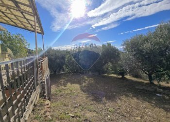 Giardino - Casa semi indipendente Via Valle Monte
 
1, Spoltore - foto 31
