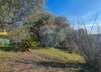 Giardino - Casa semi indipendente Via Valle Monte
 
1, Spoltore - foto 5